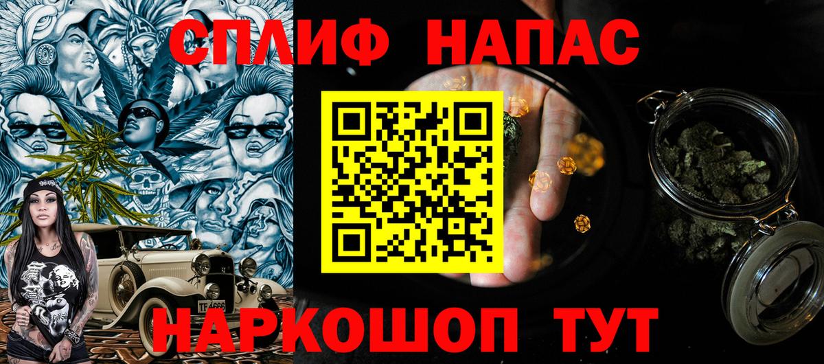 Кимры  Шишки марихуана планчик  Вход с VPN  Марихуана VHQ 